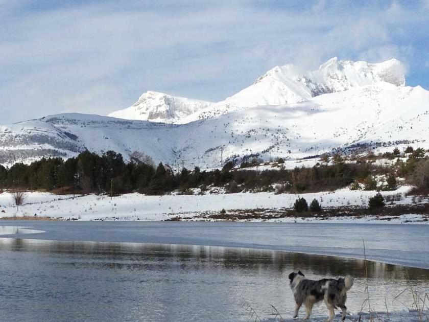 Gite Basse Correo La Freissinouse Esterno foto